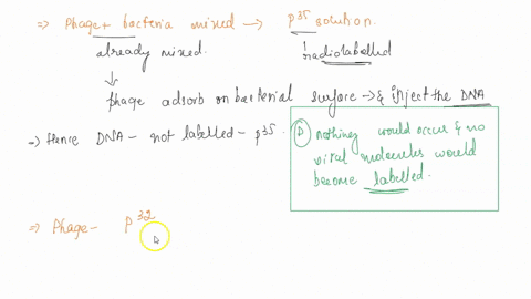 during-a-bacteriophage-infection-only-the-genetic-information-enters-the-host-bacterium-the-entire-bacteriophage-enters-the-host-bacterium-the-entire-bacteriophage-remains-outside-the-host-b-14344