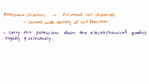 figure-3511-potassium-channel-blockers-such-as-amiodarone-and-procainamide-which-are-used-to-treat-a-64127