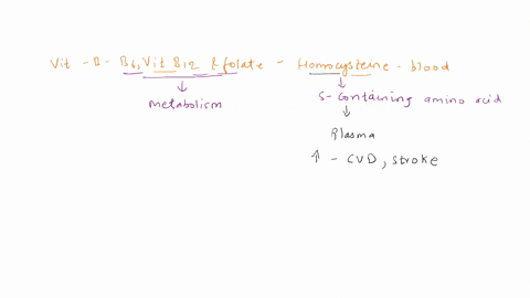 vitamins-b6-b12-and-folate-are-involved-in-the-metabolism-of-the-amino-acid-homocysteine-select-the-statement-that-correctly-describes-the-relationship-between-b-vitamins-and-homocysteine-a-54194