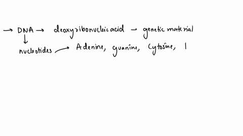 the-following-statements-about-the-double-helical-structure-of-dna-are-correct-except-it-has-adenine-paired-with-thymine-and-cytosine-paired-with-guanine-it-can-assume-many-different-forms-i-05111