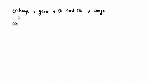 exchange-of-o2-and-co2-between-the-lungs-and-the-blood-is-called-65539