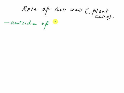 which-is-a-function-of-the-plant-cell-wall-88609