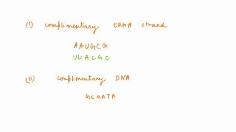 question-17-25-points-what-is-the-complimentary-trna-strand-for-the-short-segment-of-mrna-provided-below-aaugcg-question-18-25-points-saved-what-is-the-complimentary-dna-strand-for-the-short-09803