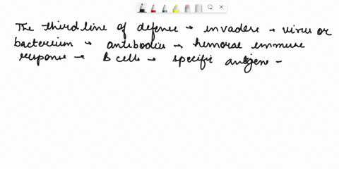 which-of-the-following-best-describes-the-third-line-of-defense-in-the-immune-system-a-the-third-line-of-defense-prevents-pathogens-from-entering-the-body-and-includes-the-skin-b-the-third-l-61855