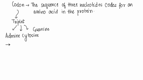 which-of-the-following-is-not-true-of-a-codon-a-it-may-code-for-the-same-amino-acid-as-another-codon-b-it-never-codes-for-more-than-one-amino-acid-c-it-extends-from-one-end-of-a-trna-molecul-90428