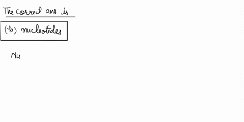 nucleic-acids-are-made-up-of-monomers-called-amino-acids-nucleotides-codons-monosaccharides-46575