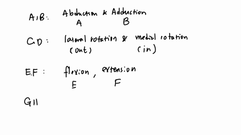 movements-1-for-each-letter-on-the-figure-below-indicate-the-type-of-motion-shown-from-the-choices-below-some-choices-are-used-multiple-times-abduction-adduction-circumduction-depression-dor-95744