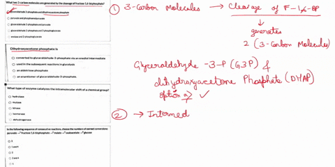 what-two-3-carban-molecules-are-generated-by-the-cleavage-iructose-16-bisphosphate-ircen-dctyde-nhasuhate-dih-dicxyacetrne-nhoschate-p-illcann-phosphornoloyruvate-ziycerajehydn-nhosonaie-wnd-45799