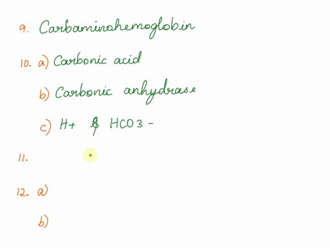 pco-13what-ion-directly-stimulates-the-central-chemoreceptors-12what-type-of-sensors-informs-the-respiratory-control-center-11where-is-the-respiratory-control-center-located-at-the-acid-ment-05602