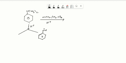 explain-why-the-meta-product-the-major-product-formed-the-following-reaction-even-though-the-dimethylamino-group-ortho-para-director-make-sure-you-include-mechanism-as-part-of-your-answer-nc-71886