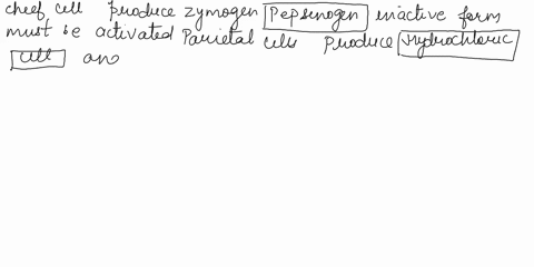 12-chief-cells-produce-and-secrete-the-zymogen-______________________________-inactive-form-that-must-be-activated-parietal-cells-produce-and-secrete-______________________-_________________-50617