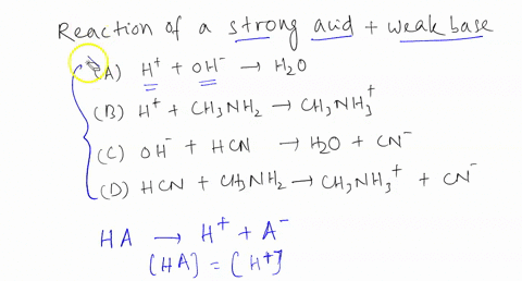 which-one-of-these-net-ionic-equations-represents-the-reaction-of-a-strong-acid-with-weak-base-a-htaq-oh-taq-holaq-b-htaq-ch-nhzaq-chsnhs-aq-c-oh-aq-hcnaq-hzoaq-cn-aq-d-hcnaq-chsnh-aq-chnh-a-39133
