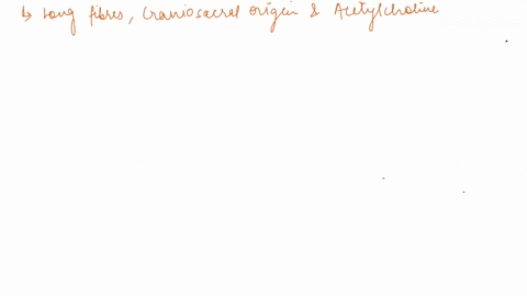 which-of-the-systems-has-long-preganglionic-fibers-with-a-craniosacral-origin-and-has-acetylcholine-as-the-postganglionic-neurotransmitter-parasympathetic-sympathetic-cns-somatic-sensory-85655