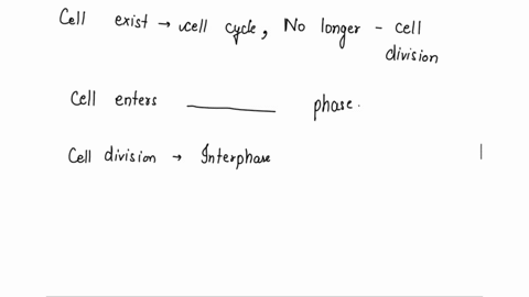 when-a-cell-exits-the-cell-cycle-and-no-longer-goes-through-cell-division-the-cell-enters-into-the-__________________-phase-94043