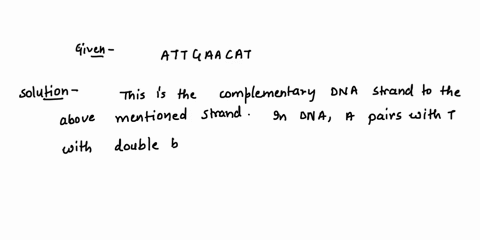 what-is-the-other-strand-of-this-dna-sequence-attgaacat-31115