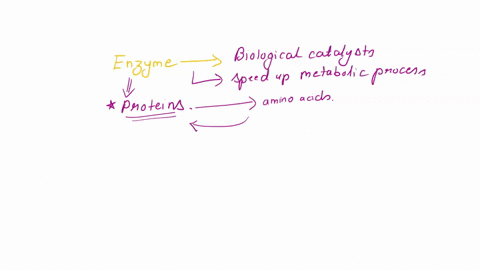 which-of-the-following-statements-is-correct-select-all-that-apply-amonosaccharides-are-the-subunits-monomers-of-enzymes-benzymes-are-lipids-cnucleotides-are-the-subunits-monomers-of-enzymes-05636