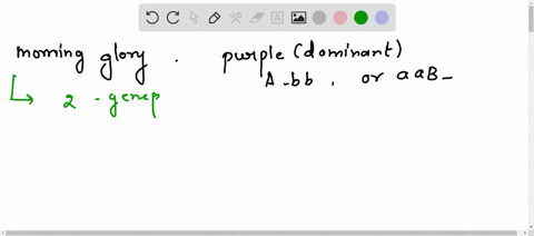 in-the-japanese-morning-glory-purple-flower-color-maybe-caused-by-dominant-alleles-at-either-one-of-two-separate-genepairs-a_bb-or-aab_-when-dominant-alleles-are-present-at-both-genepairs-a_-31363