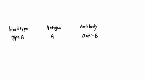 given-the-antigens-found-on-the-red-blood-cellsgive-the-corresponding-antibody-and-the-abo-blood-type-blood-type-red-blood-cell-antigen-antibody-in-blood-plasma-a-ab-neither-2-71894
