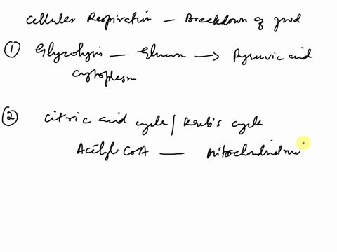 the-process-of-cellular-respiration-releases-the-energy-that-exists-in-food-molecules-such-as-glucose-what-are-the-three-steps-of-cellular-respiration-and-where-do-they-take-place-please-ind-16467