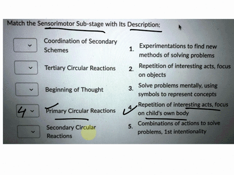 question-275-points-match-the-sensorimotor-sub-stage-with-its-description-coordination-of-secondary-schemes-experimentations-to-find-new-methods-of-solving-problems-2-repetition-of-interesti-42701