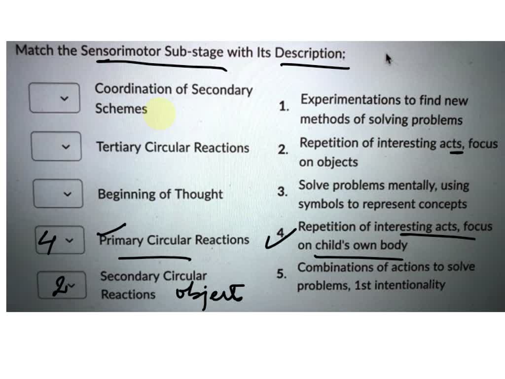 SOLVED Question 27 5 points Match the Sensorimotor Sub stage