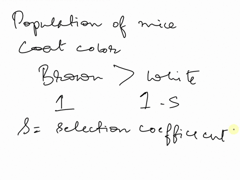 in-a-population-of-mice-there-are-two-alleles-for-coat-color-with-the-brown-allele-having-higher-fitness-than-the-white-allele-in-their-environment-under-what-conditions-would-the-alleles-be-04377