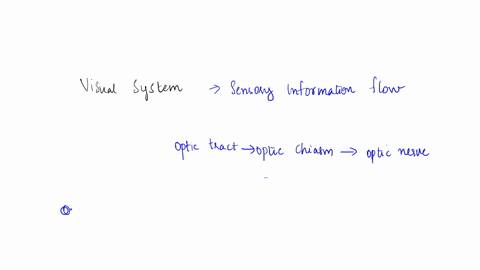 question-4-what-is-the-correct-order-of-sensory-information-flow-in-the-visual-system-photoreceptors-retinal-ganglion-cells-interneurons-optic-tract-optic-chiasm-optic-nerve-lateral-genicula-12264