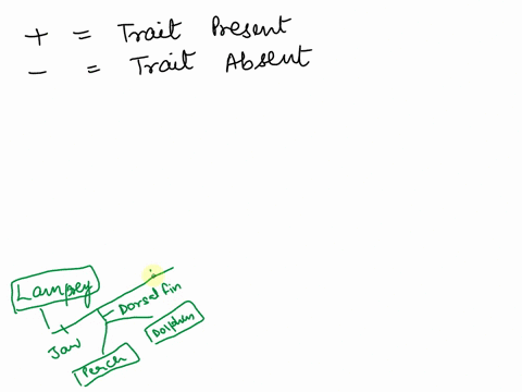 construct-a-cladogram-using-the-data-in-the-table-below-map-the-features-onto-the-cladogram-take-a-photo-of-your-cladogram-to-upload-or-scan-it-for-upload-derived-traits-amniotic-dorsal-mamm-07449