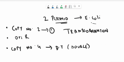 how-to-transfer-2-different-plasmids-into-one-ecoli-please-list-out-the-step-in-point-form-47009