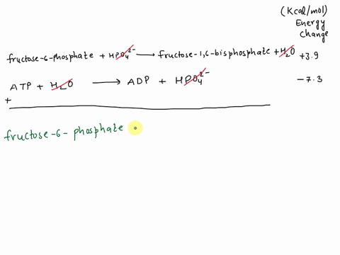 question-6-1-pts-consider-the-following-equations-energy_change-fructose-6-phosphate-hpo4-fructose-16-bisphosphate-39-kcalmol-h2o-atp-hzo-adp-hpo42-73-kcalmol-which-is-the-equation-for-the-c-10133