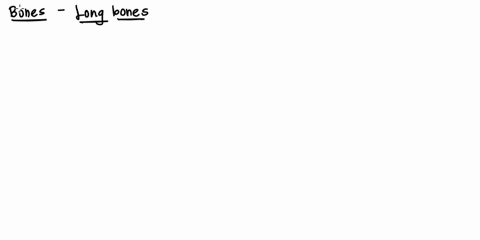 what-type-of-bone-is-found-mostly-along-the-shaft-of-long-bones-a-marrow-b-compact-c-spongy-d-endosteum-46227