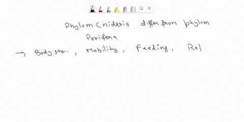 list-at-least-4-ways-in-which-organisms-from-the-phylum-cnidaria-differ-from-those-of-the-phylum-porifera-describe-the-medusa-and-polyp-stages-of-the-cnidarian-life-cycle-list-the-4-classes-74554