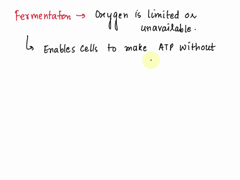 which-statement-is-true-about-the-process-of-fermentalion-during-fermentation-atp-is-consumed-fermentation-02-is-terminal-acceptor-of-electrons-fermentation-takes-place-in-the-mitochondrial-24945