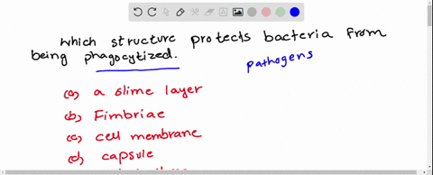 which-structure-protects-bacteria-from-being-phagocytized-o-a-slime-layer-b-flimbrlae-c-cell-membrane-d-capsule-e-all-of-the-cholces-are-correct-91587