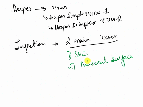 what-are-the-two-main-types-of-tissues-herpes-viruses-infect-and-what-symptoms-do-they-present-as-54655