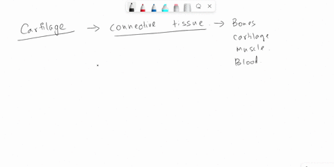 when-chondrocytes-in-lacunae-divide-and-form-new-matrix-it-leads-to-an-expansion-of-the-cartilage-tissue-from-within-this-process-is-called-__________-a-appositional-growth-b-calcification-c-29223