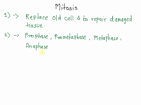 1what-are-two-reasons-why-cells-undergo-mitosis-2-describe-the-events-that-happen-during-each-stage-of-mitosis-3-what-is-cytokinesis-4-how-do-animal-cell-cytokinesis-and-plant-cell-cytokines-39065