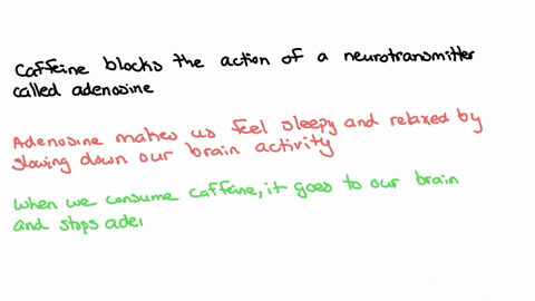 how-does-caffeine-work-multiple-choice-increases-the-amount-of-neurotransmitter-at-a-synapse-interferes-with-or-decreases-the-action-of-a-neurotransmitter-replaces-or-mimics-a-neurotransmitter-replace