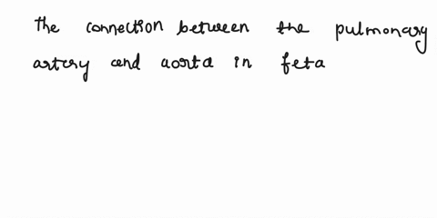 what-is-the-name-of-the-connection-between-the-pulmonary-artery-and-the-aorta-in-the-fetal-circulation-called-what-does-it-become-69464