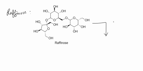 padwv-shown-below-is-the-molecule-raffinose-elowohyne-molcceg-ratinase-poin-a-risaccharide-that-is-found-in-beans-cabbage-itis-since-humans-do-not-have-the-a-gaiactosidase-enzymes-necessary-37202
