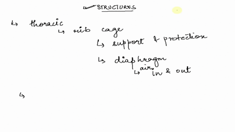 026-the-thoracic-cavity-i5-surrounded-by-stiff-rib-cage-while-the-abdominal-cavity-has-softer-muscular-wall-explain-how-such-structures-are-beneficial-in-each-case-027-you-have-just-leamed-m-39058