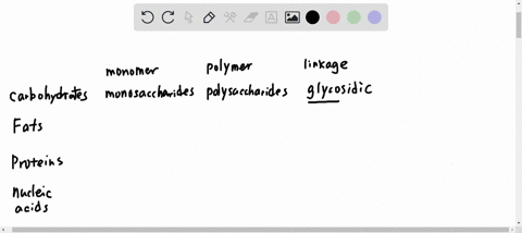 complete-table-that-organizes-the-following-terms-drag-the-labels-to-their-appropriate-ocations-in-the-table-rebet-help-triacylglycerols-polysaccharides-fatty-acids-monosaccharides-nucteotid-35708