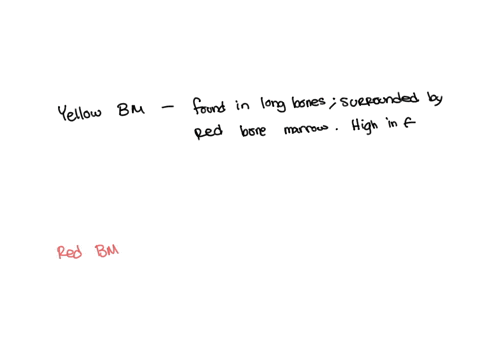 explain-the-importance-of-red-bone-marrow-49502