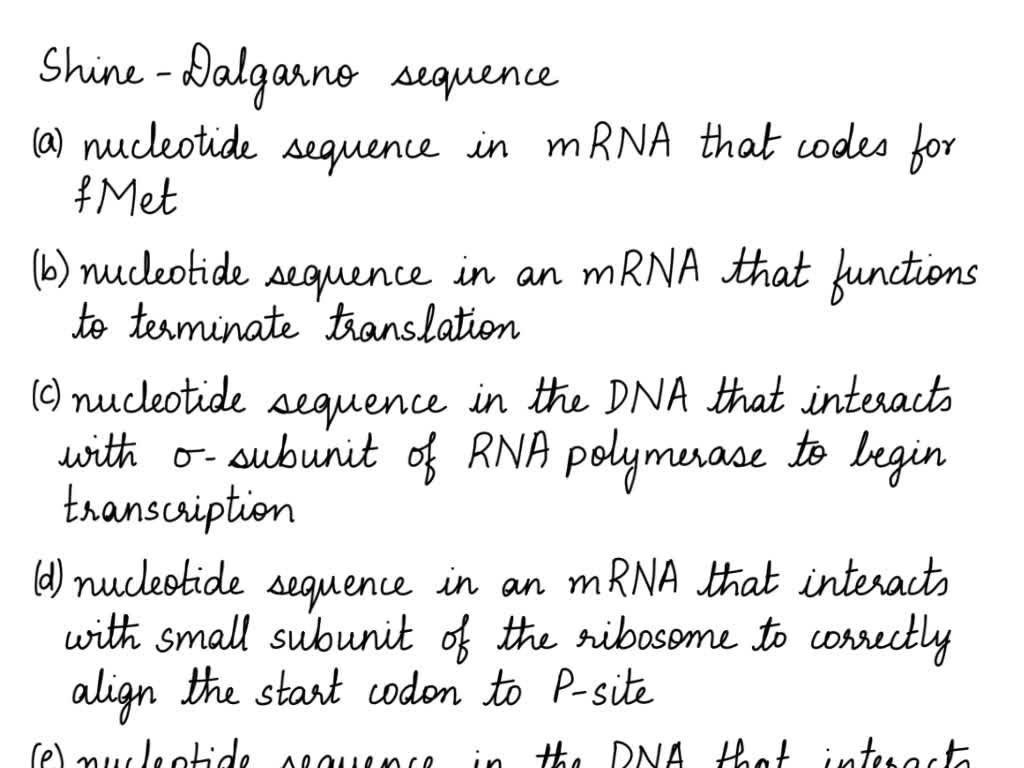 SOLVED The ShineDalgarno sequence refers to a consensus sequence