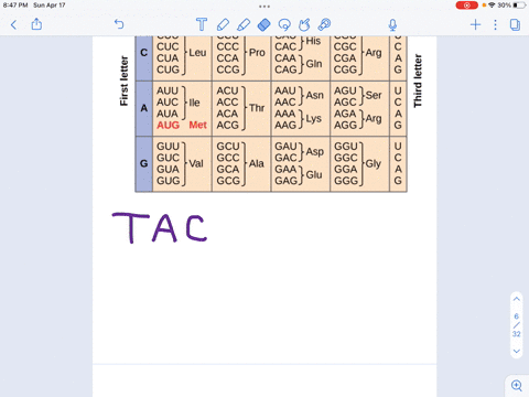 use-the-cadon-table-to-determine-which-mrna-triplets-code-for-the-amino-acid-cysteine-cys_-second-mrna-base-uuu-vuc-uua-uug-ucu-ucc-uca-ucg-uau-ugu-uac-ugc-_-uaa-stop-uga-stap-uag-stde-ugg-t-94725