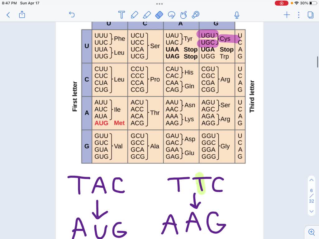 Amino Acid Triplet Code Chart