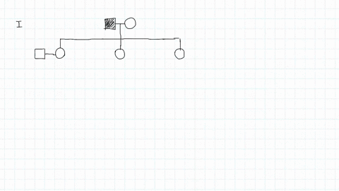 create-a-pedigree-chart-based-on-the-situation-give-many-years-ago-when-i-was-23i-was-married-to-a-lovely-lady-as-pretty-as-can-bei-like-your-beard-said-she-on-the-day-that-she-met-me-so-i-t-56042
