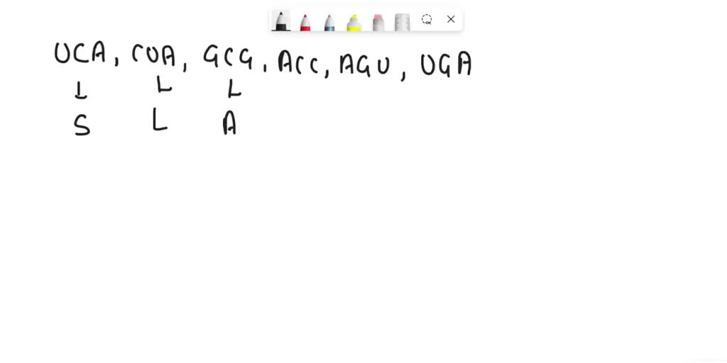 SOLVED WHAT IS AMINO ACID FOR THIS MRNA SEQUENCE? UCA CUA GCG ACC AGU UCA