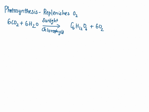 what-are-the-sources-of-oxygen-for-aerobic-respiration-90906