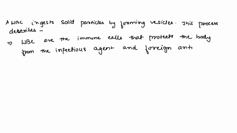 a-white-blood-cell-ingests-solid-particles-by-forming-vesicles-thisdescribes-the-process-ofa-exocytosis-d-phagocytosisb-facilitated-diffusion-e-pinocytosisc-secondary-active-transport-01799